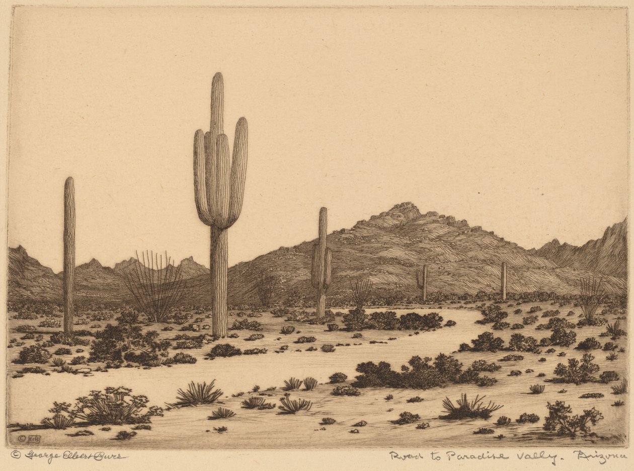 Vejen til Paradise Valley, Arizona af George Elbert Burr