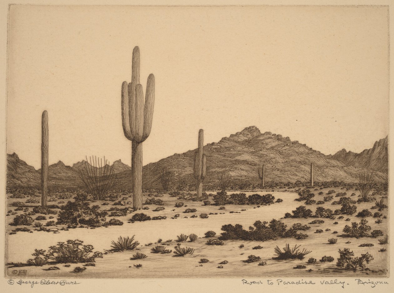 Vejen til Paradise Valley, Arizona af George Elbert Burr