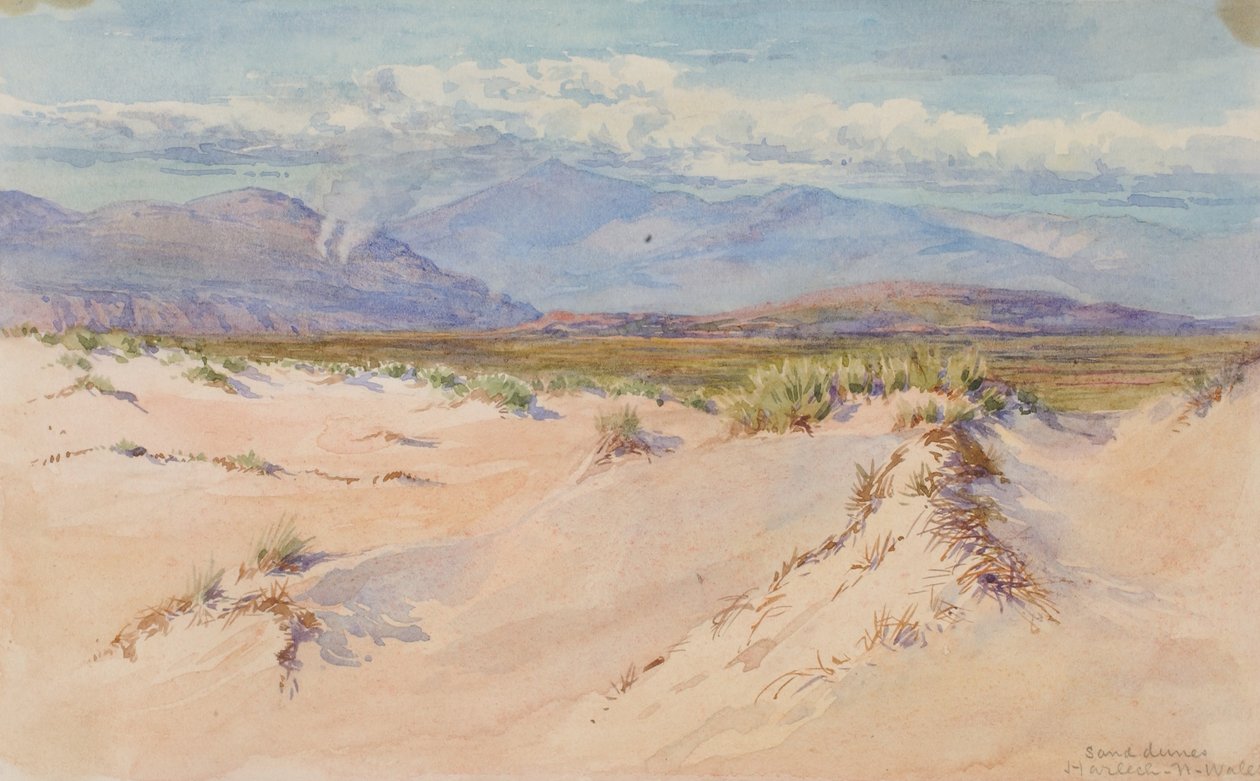 Sandklitter, Harlech, Nordwales af George Elbert Burr