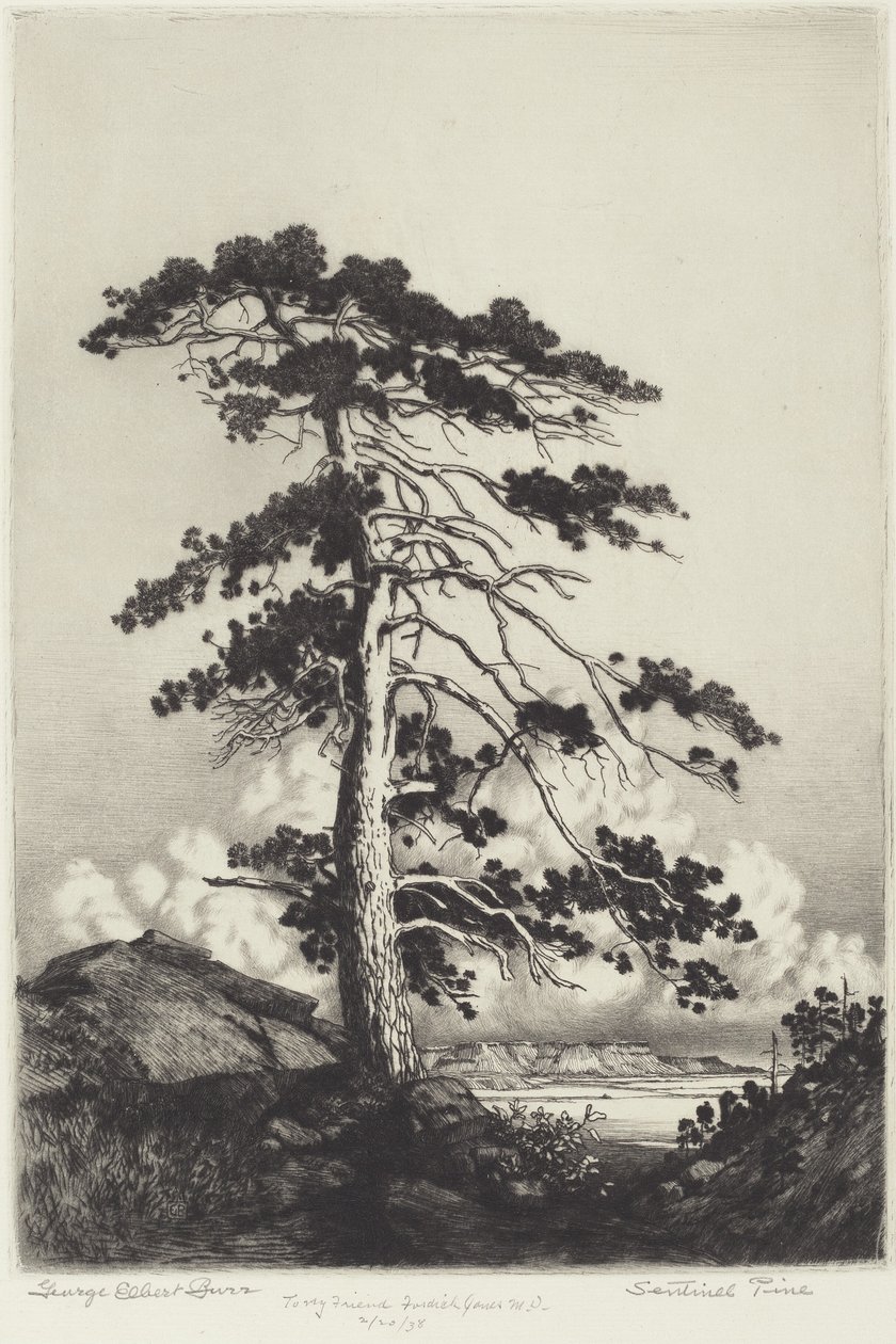 Sentinel Fyr af George Elbert Burr