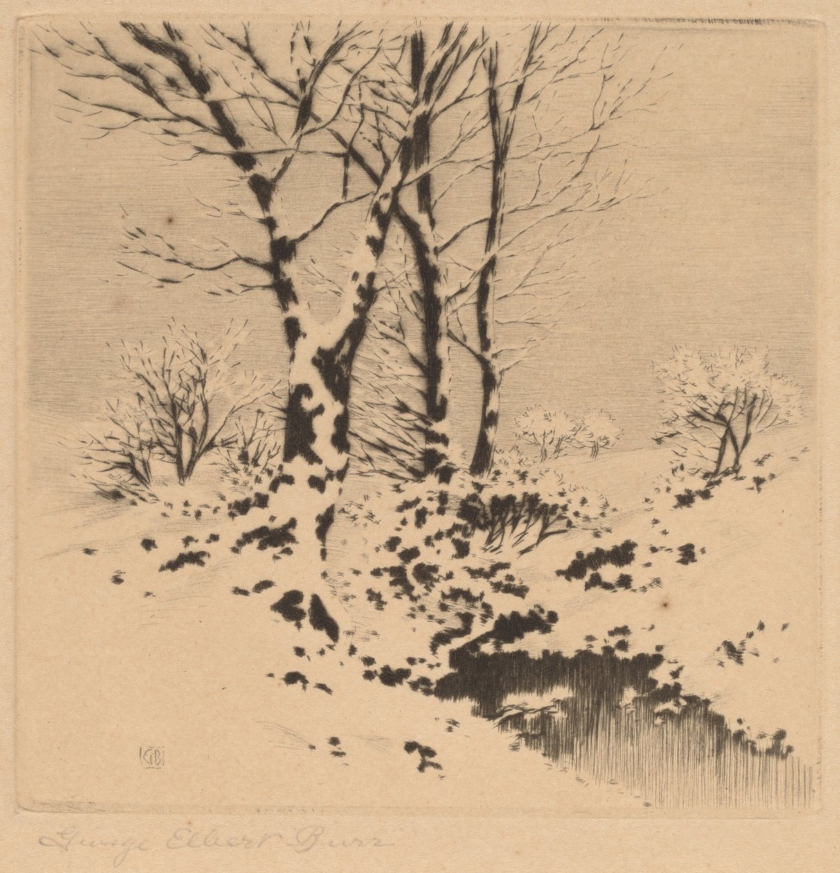Sne af George Elbert Burr