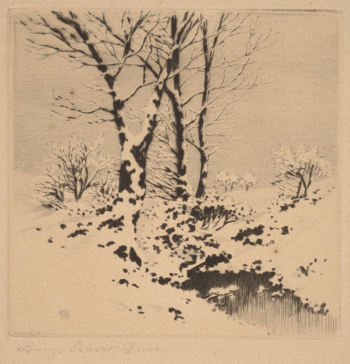 Sne af George Elbert Burr