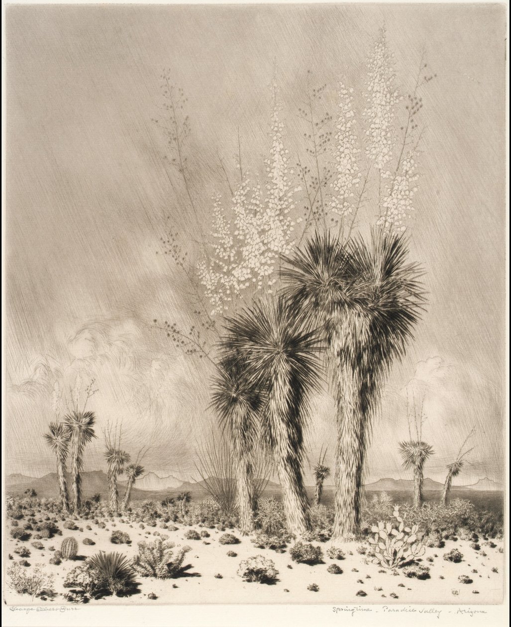 Forår, Paradise Valley, Arizona af George Elbert Burr