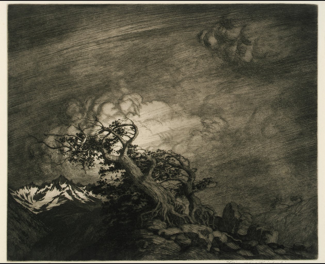 Storm i nærheden af Timberline af George Elbert Burr