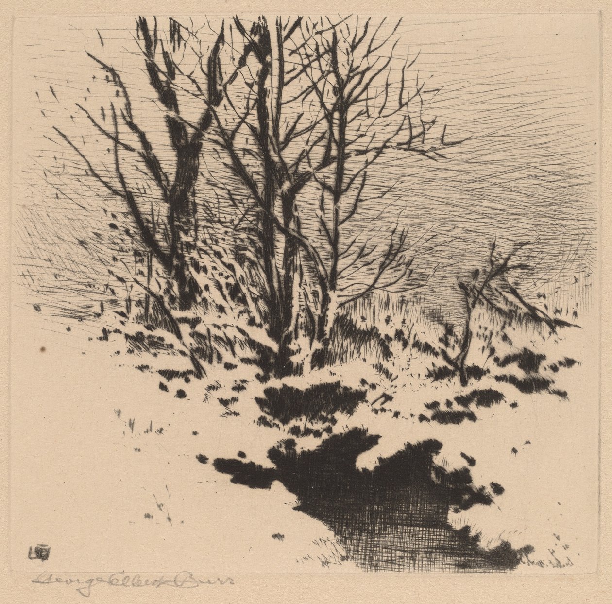 Den første sne (nr. 2) af George Elbert Burr