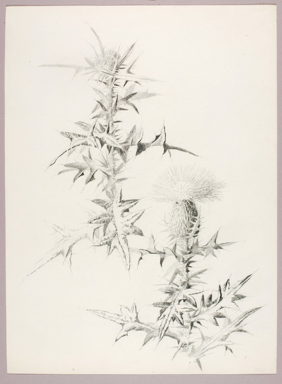 Uden titel (tidsel) af George Elbert Burr