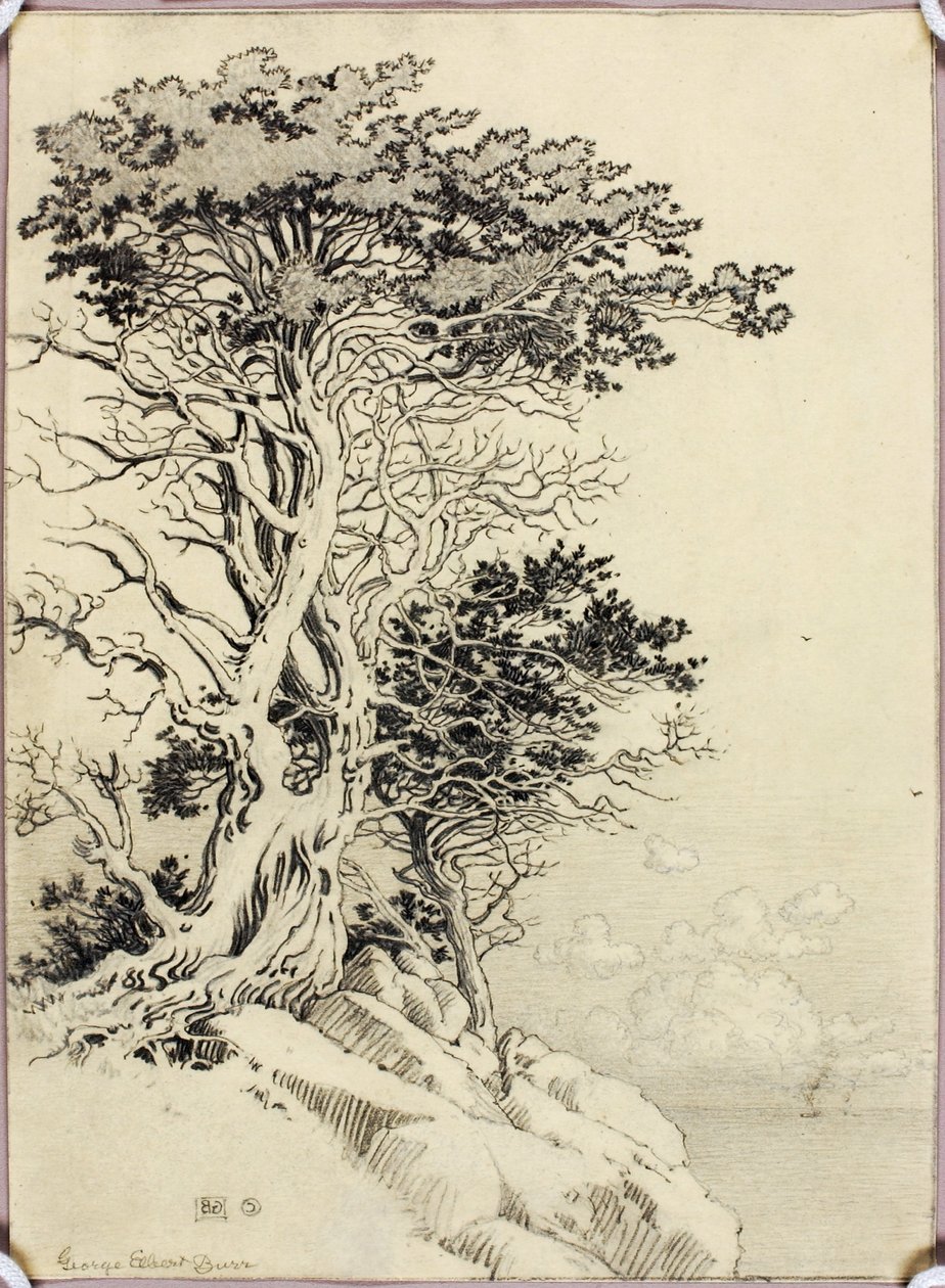 Uden titel (tegning til tryk) af George Elbert Burr