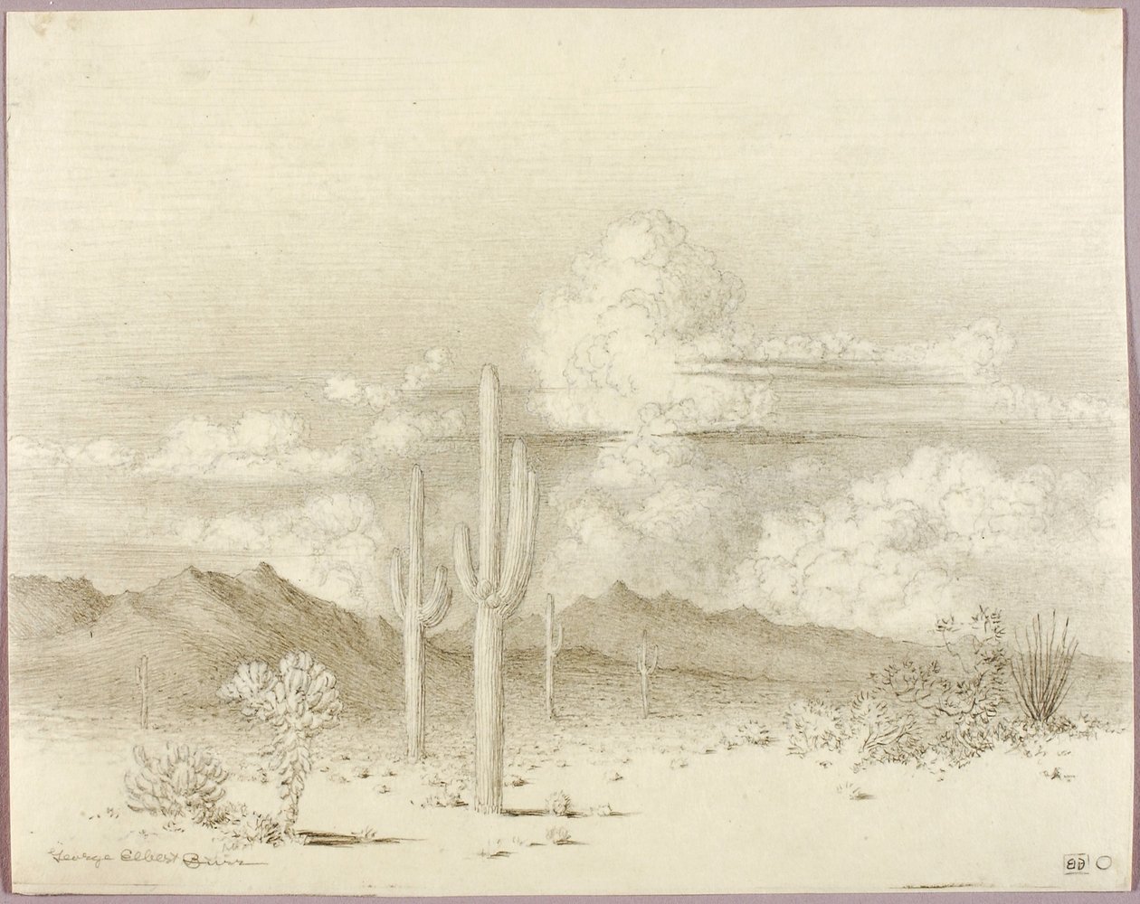 Uden titel (overføringstegning til Aften, Paradise Valley, Arizona) af George Elbert Burr