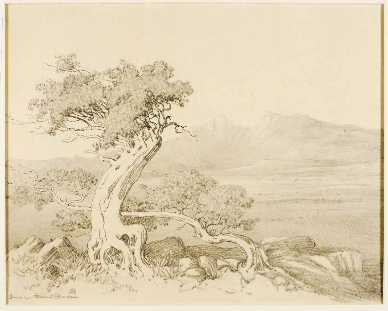 Uden titel (overføringstegning til Old Cedars og Spanish Peaks) af George Elbert Burr