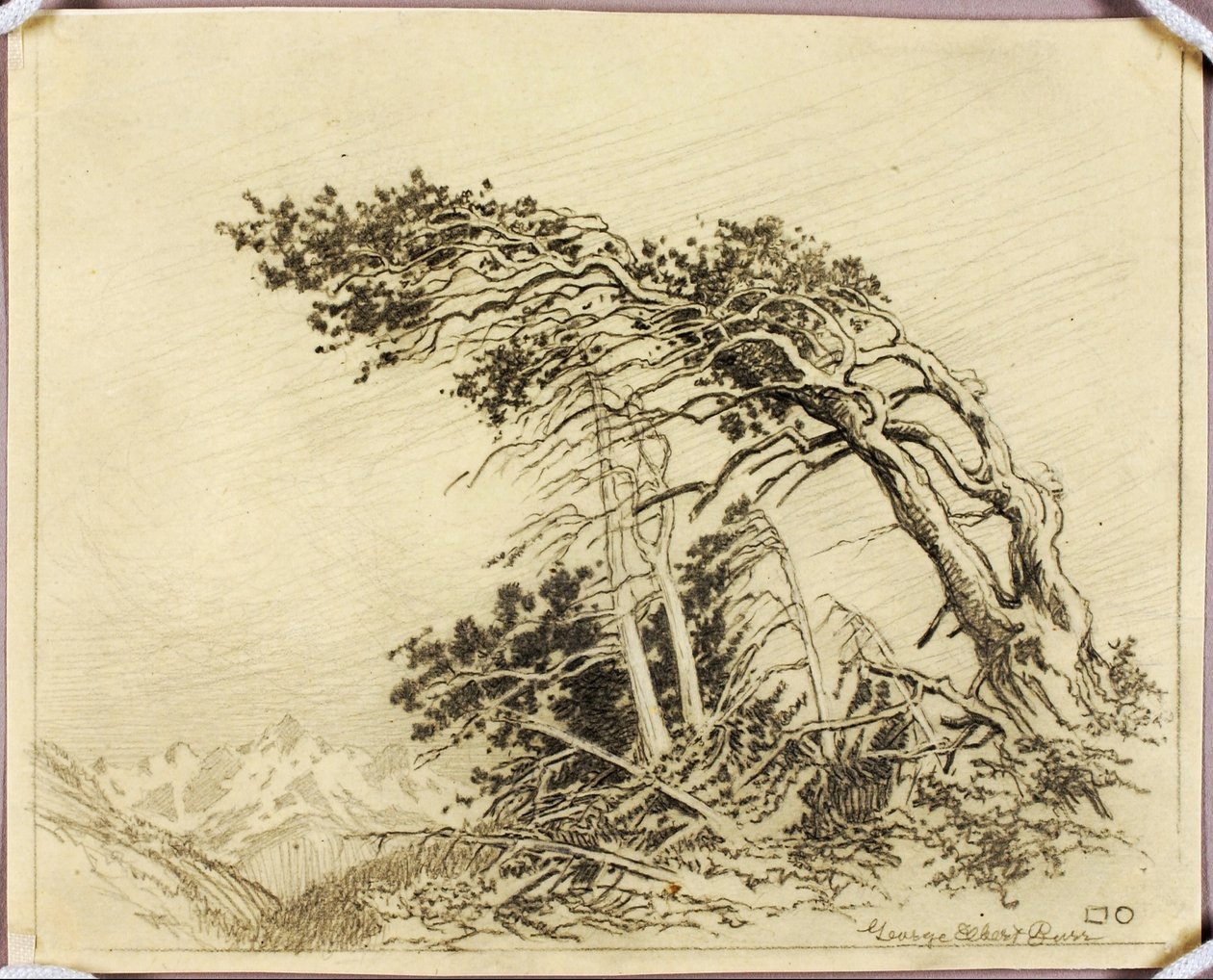 Uden titel (overføringstegning til The Home of the Winds [nr. 1]) af George Elbert Burr