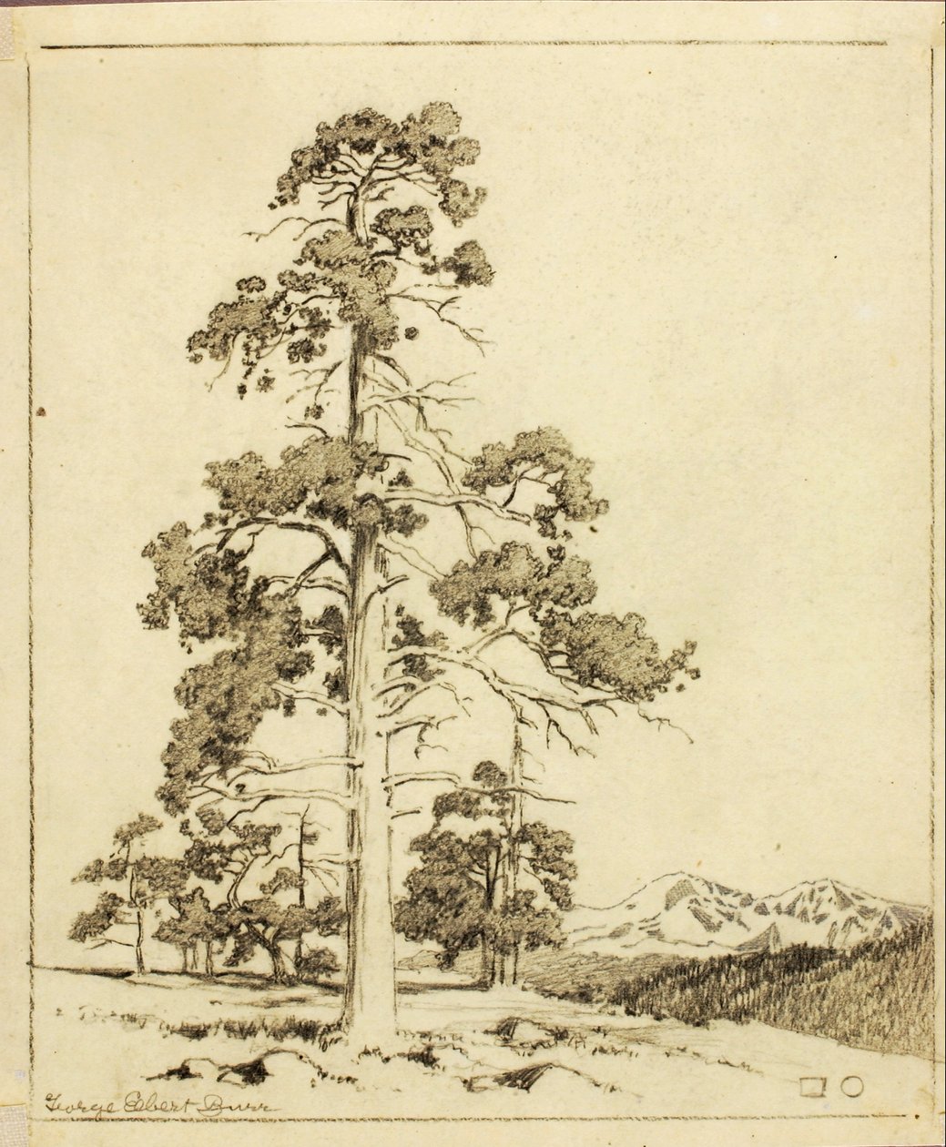 Uden titel (overførselstegning til tryk) af George Elbert Burr