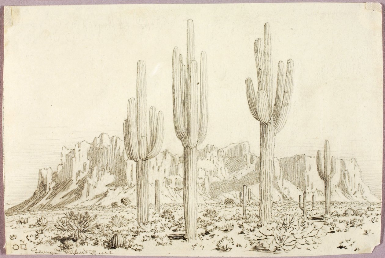 Uden titel af George Elbert Burr