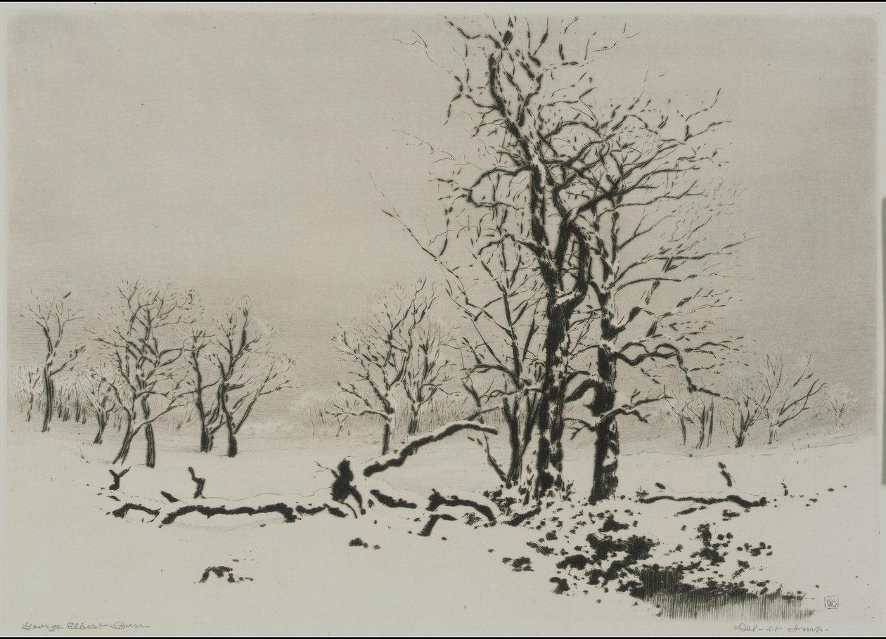 Vinter (nr. 1) af George Elbert Burr