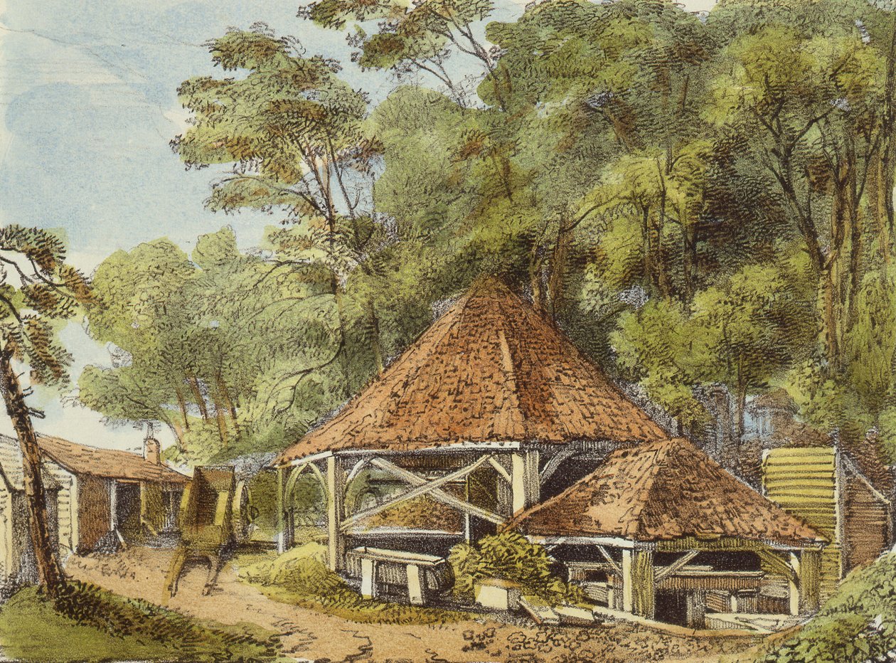 Water Works, Kew Gardens, plade 22 fra Kew Gardens: A Series of Twenty-Four Drawings on Stone, graveret af Charles Hullmandel (1789-1850) udgivet 1820 (håndkoloreret litho) af George Ernest after Papendiek