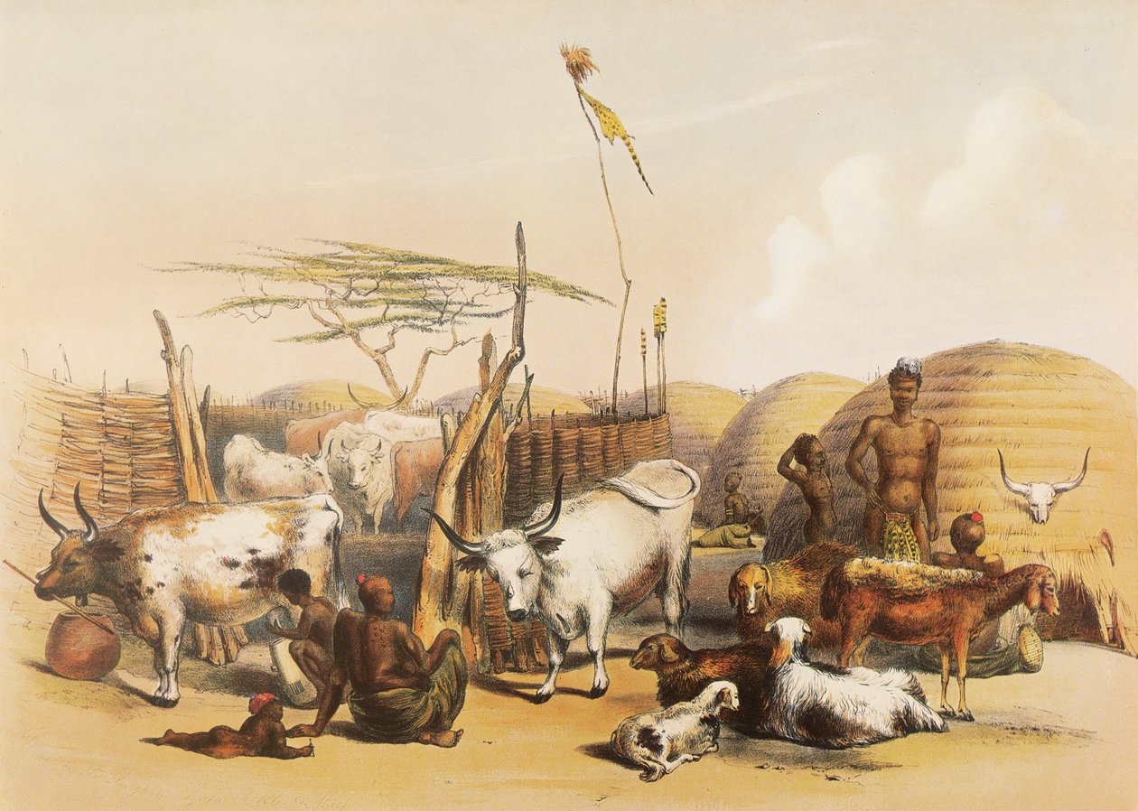 En zulu-kraal ved Umgaki-floden i Natal af George French Angas