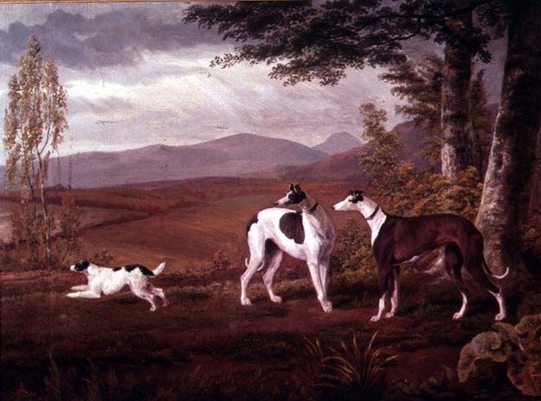 Greyhounds i et landskab af George Garrard