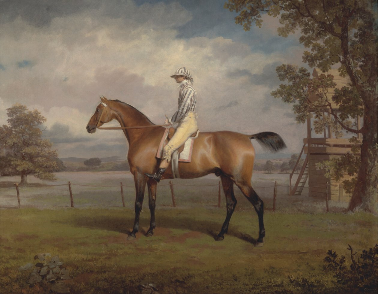 Portræt af en væddeløbshest, muligvis forklædning, ejendom af hertugen af Hamilton, med Jockey Up af George Garrard