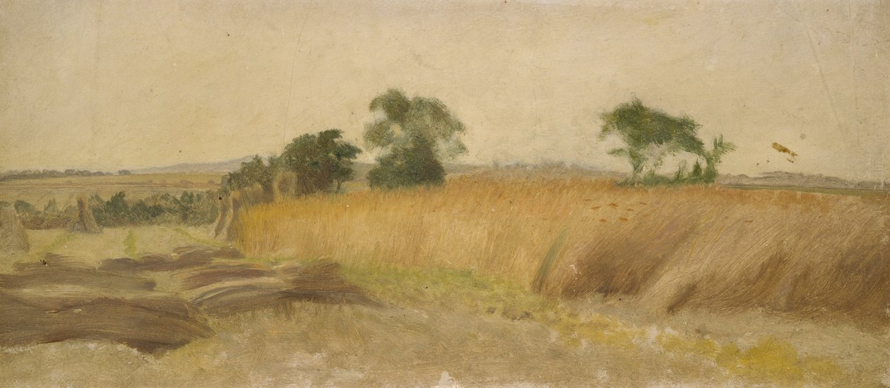 Undersøgelse af en Kornmark af George Hemming Mason
