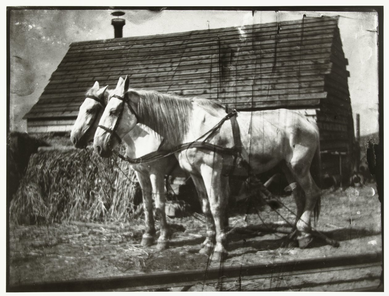 Heste ved Cruquiusweg af George Hendrik Breitner