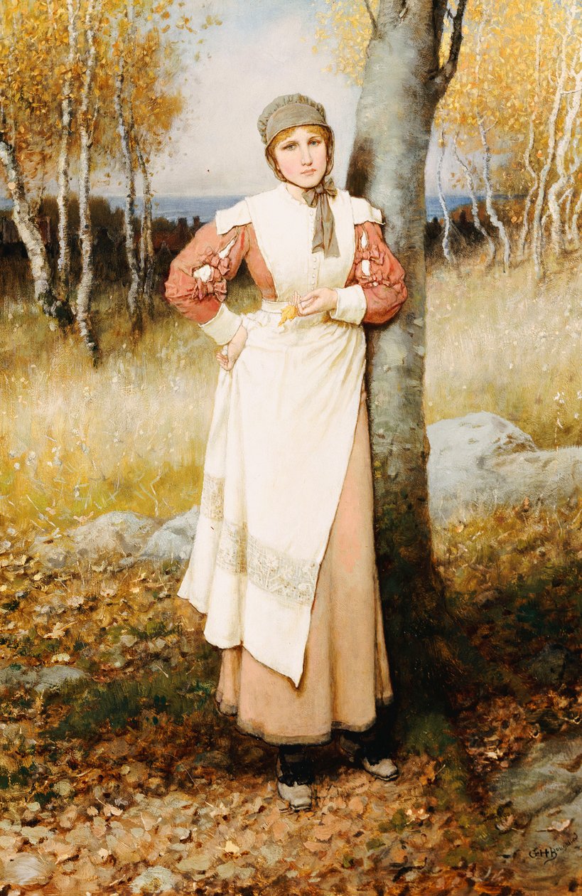 En rose i New England af George Henry Boughton