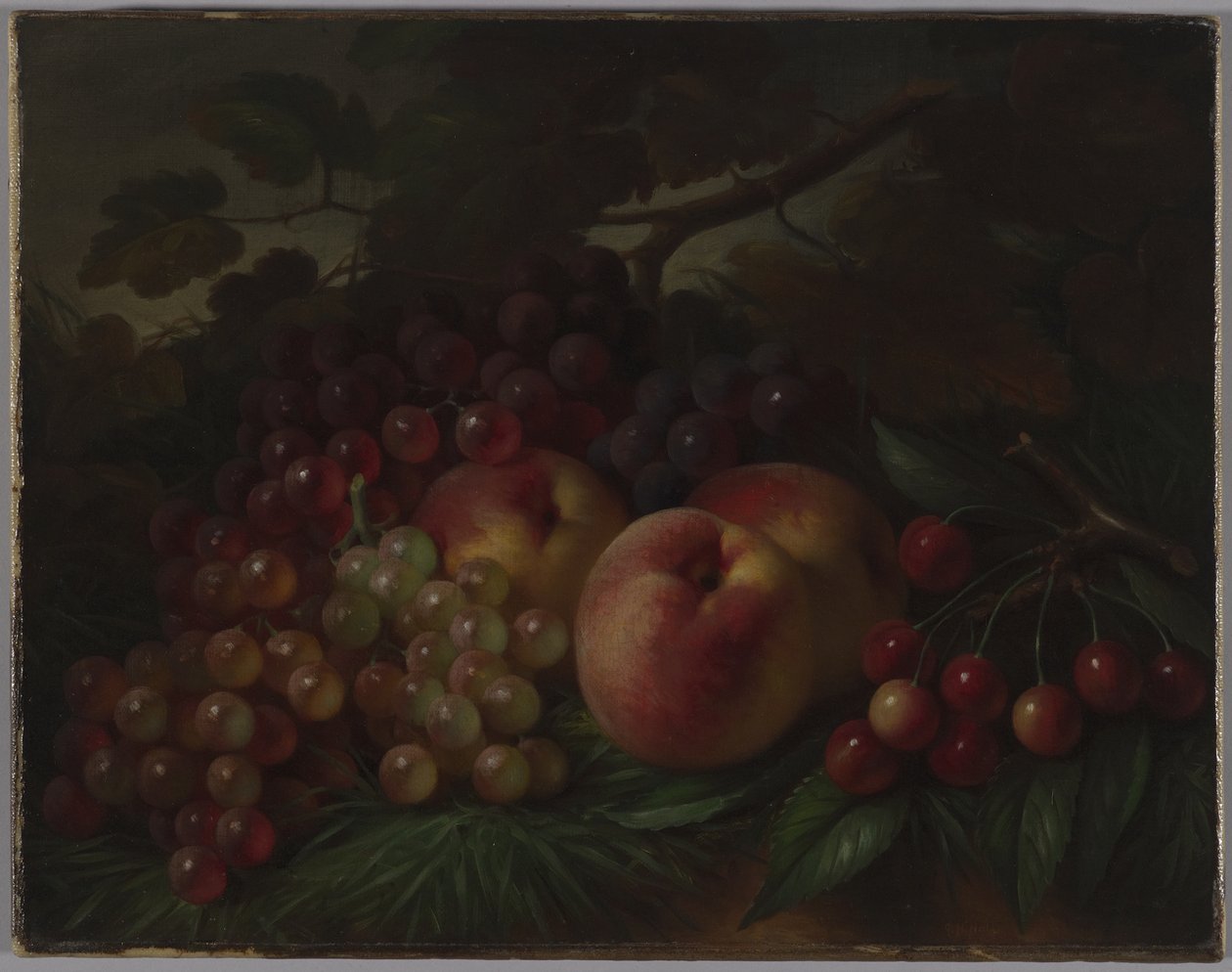 Fersken, druer og kirsebær, ca. 1860-70 (olie på lærred) af George Henry Hall