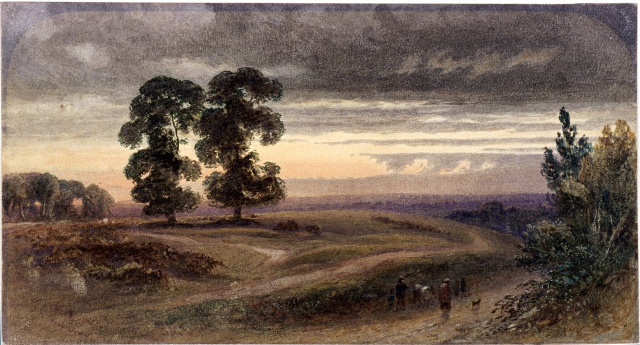Generelt billede af Hampstead, London, 1849 af George Henry Hine