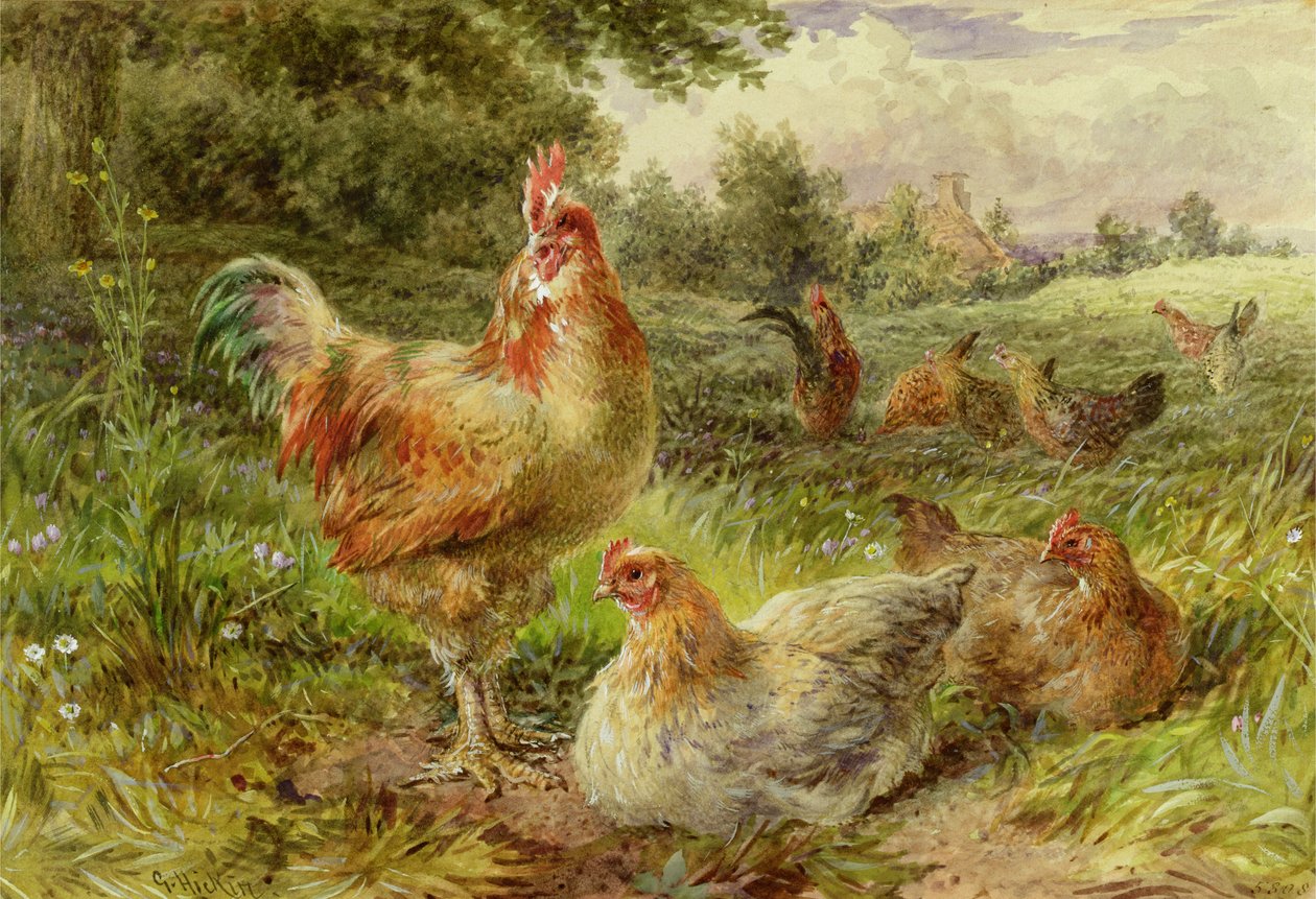 Cochin China Fowls af George Hickin