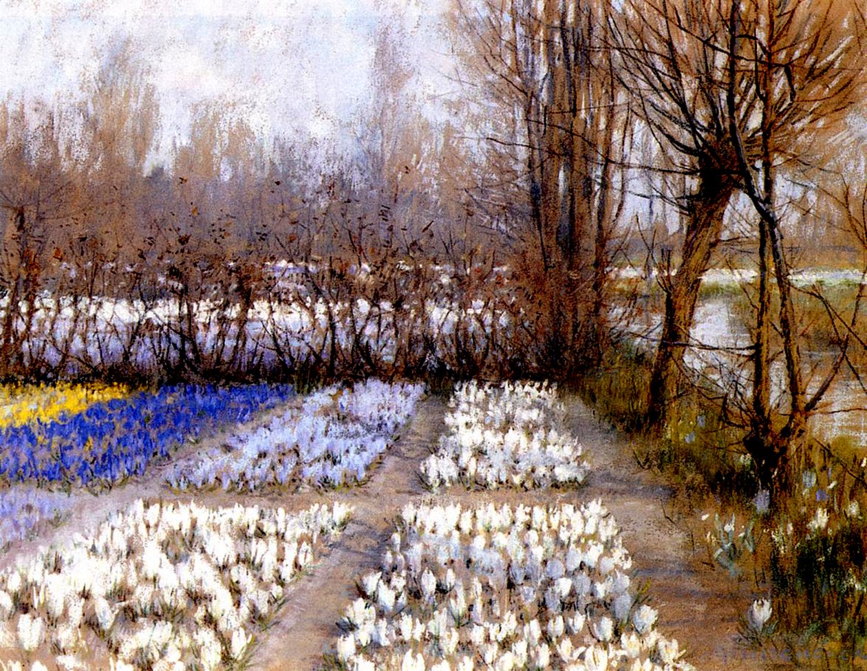 A Crocus Field in Spring, ca. 1889 (pastel på papir) af George Hitchcock