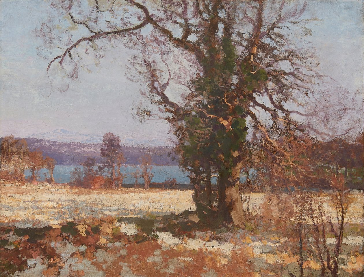 Winter Sunshine (olie på lærred) af George Houston