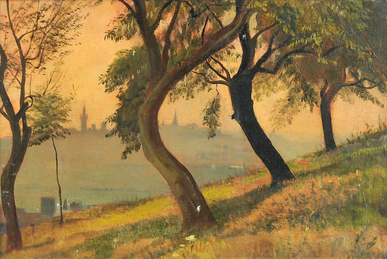 Friedberg i Hessen fra Johannisberg Nauheim, 1903 af George Howard