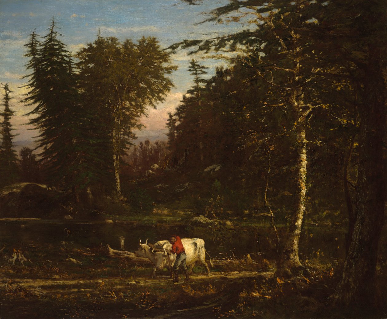 I Adirondacks af George Inness