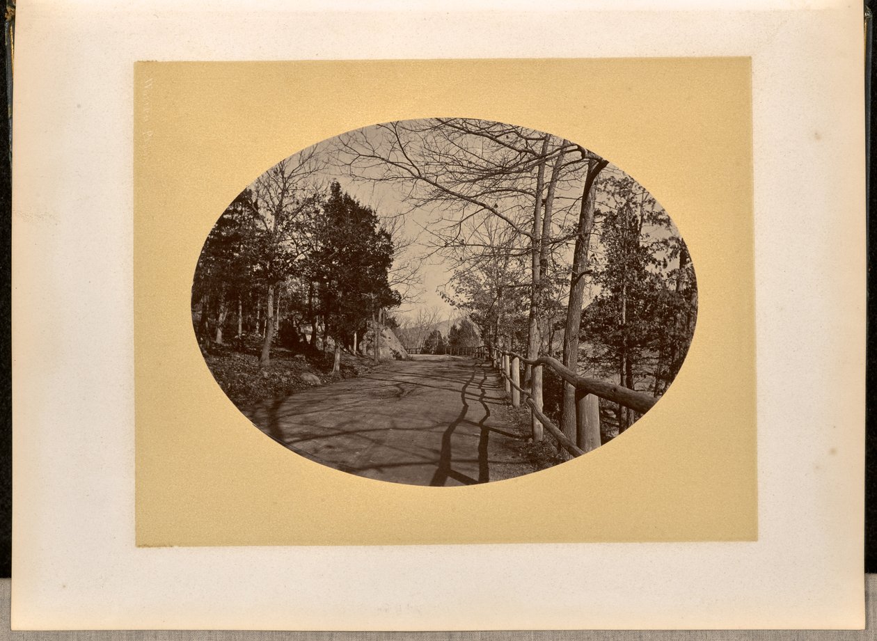 [Straße, West Point] af George Kendall Warren