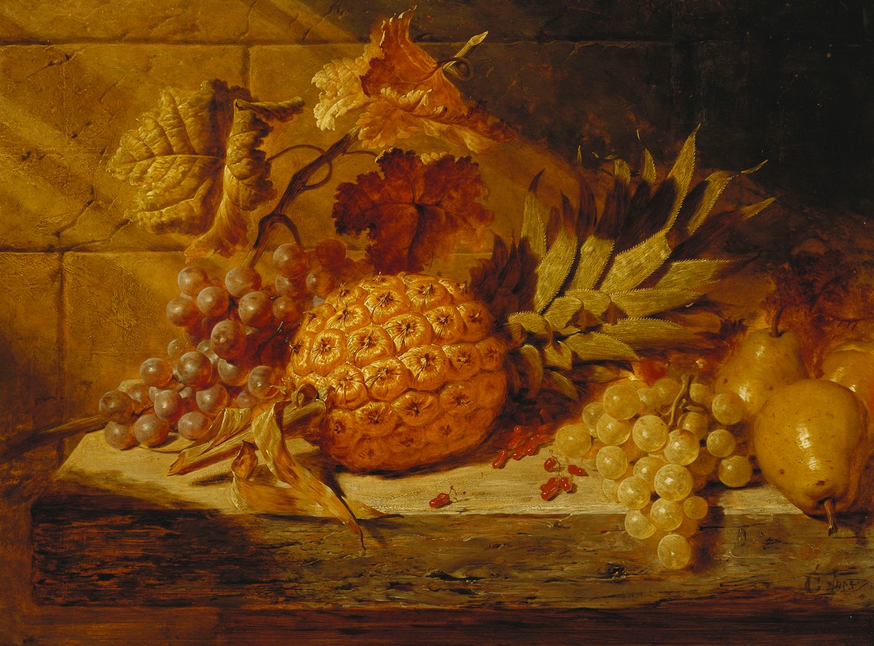 Sorte og hvide druer, pærer, ribs og en ananas på en afsats, 1845 af George Lance