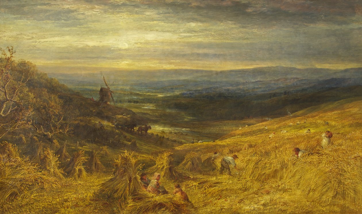 A Surrey Cornfield, ca. 1877 (olie på lærred) af George Lucas