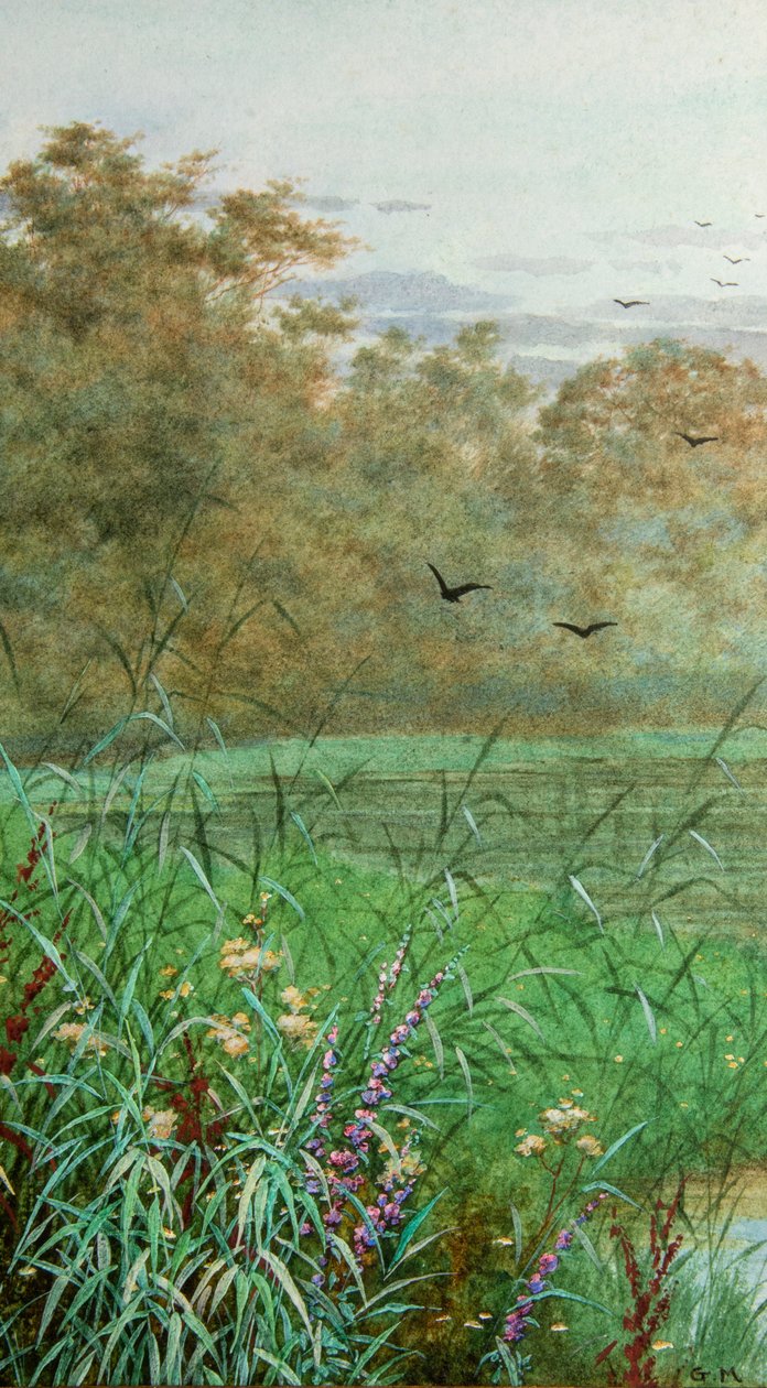 Sommer (akvarel) af George Marks
