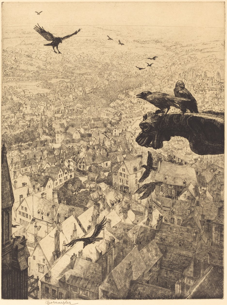 Jackdaws of Chartres af George Marples