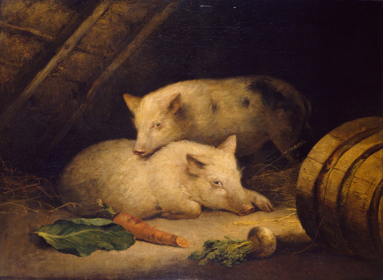 Svin, 1775-1800 af George Morland