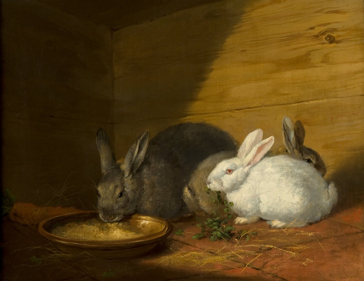 Kaniner af George Morland