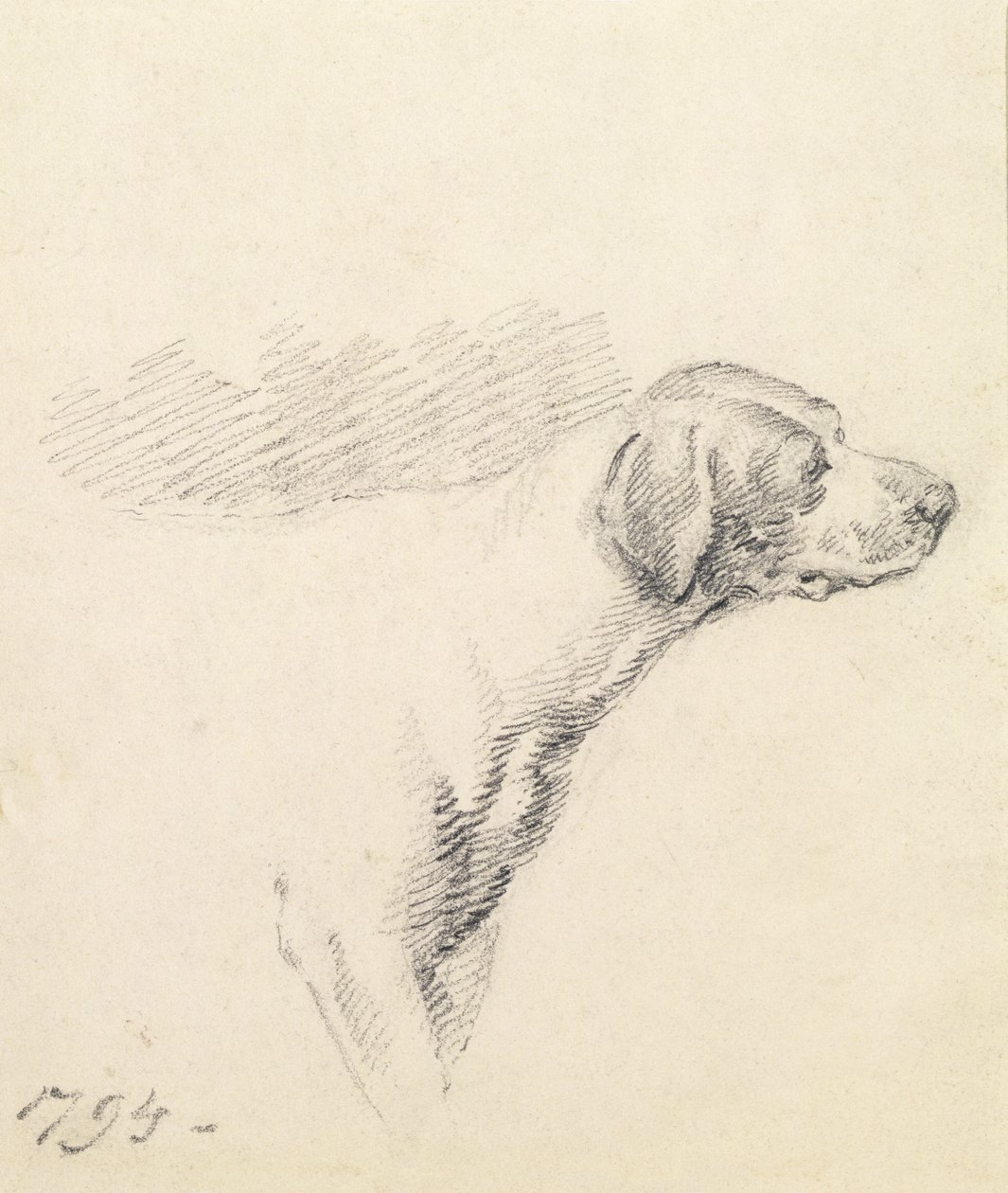 Studie af en hund, 1794 af George Morland