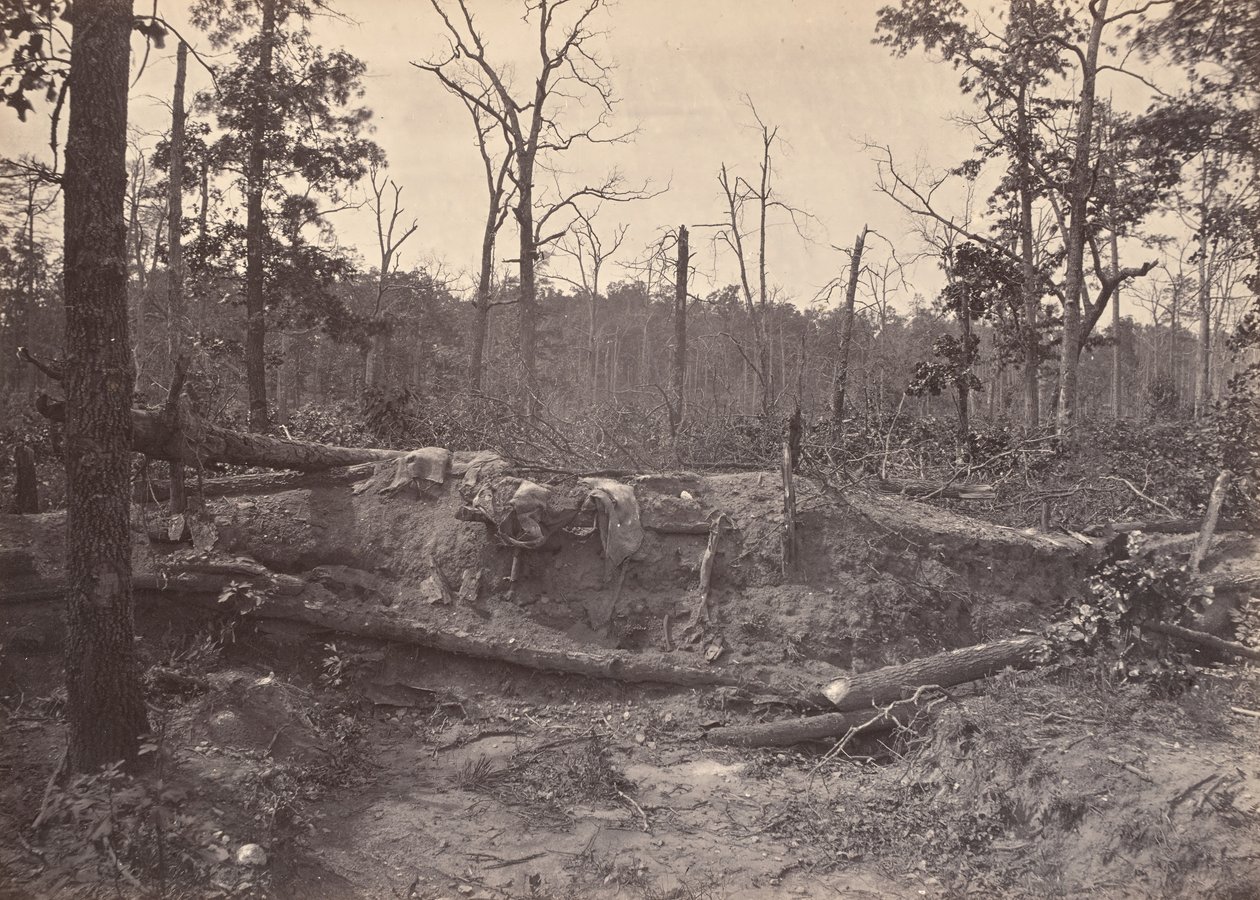 Battle Field of New Hope Church, GA, nr. 2, 1866. af George N. Barnard