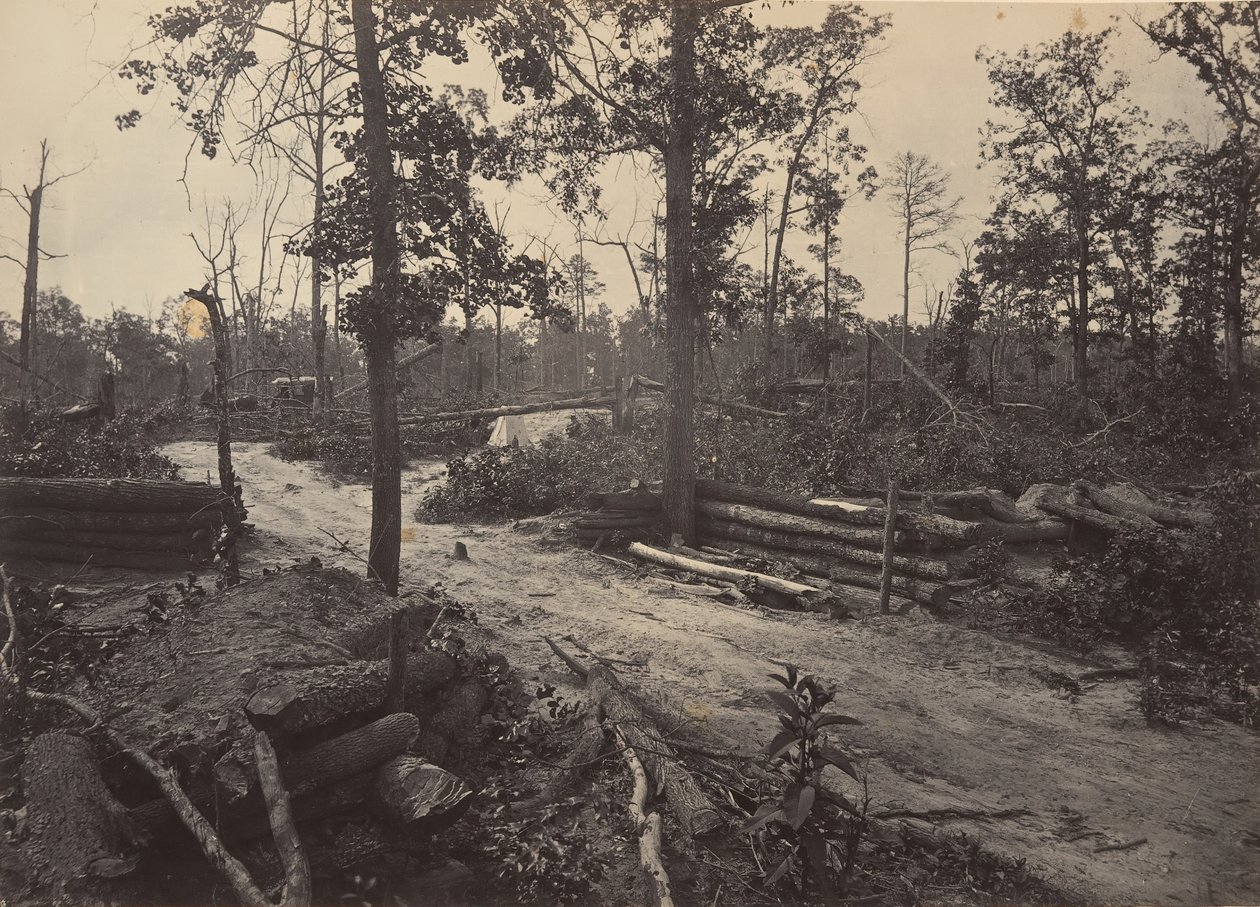 Battle Field of New Hope Church, Georgia nr. 1, 1860