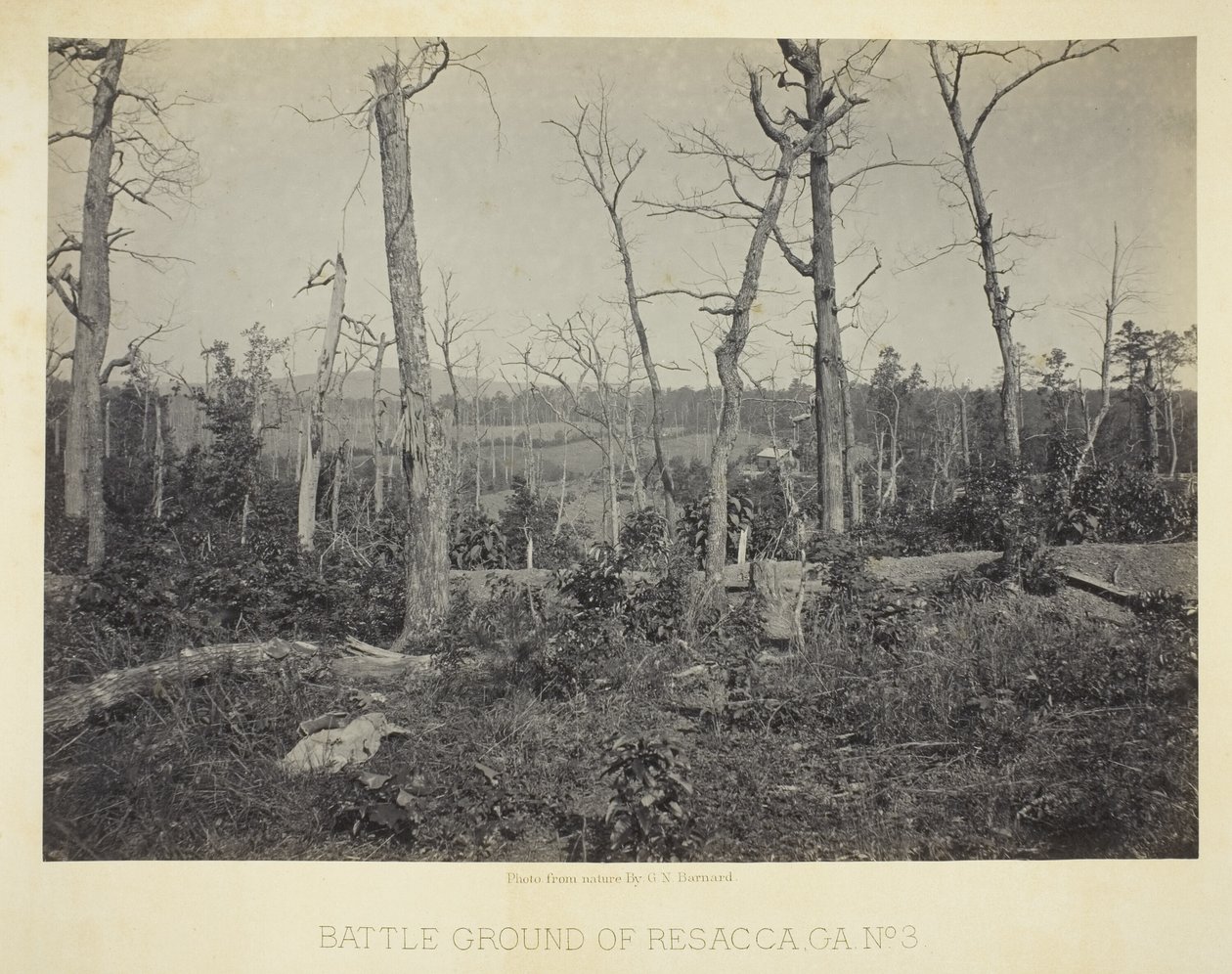 Battle Ground of Resacca, GA, nr. 3 af George N. Barnard