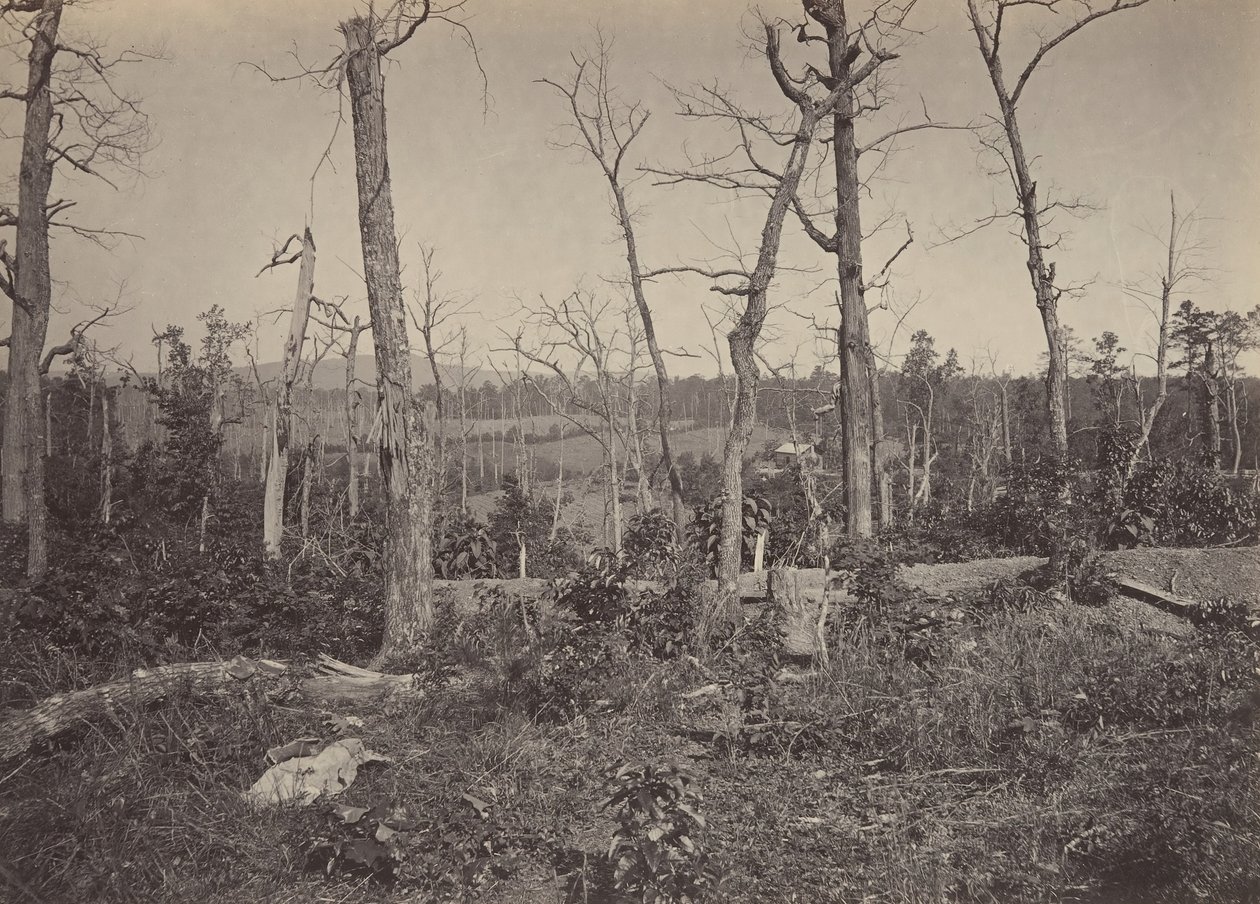 Battle Ground of Resacca, Georgia nr. 3, 1860