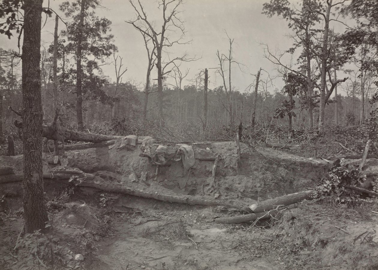 Battlefield of New Hope Church, Georgia, nr. 2, 1865-1866. af George N. Barnard