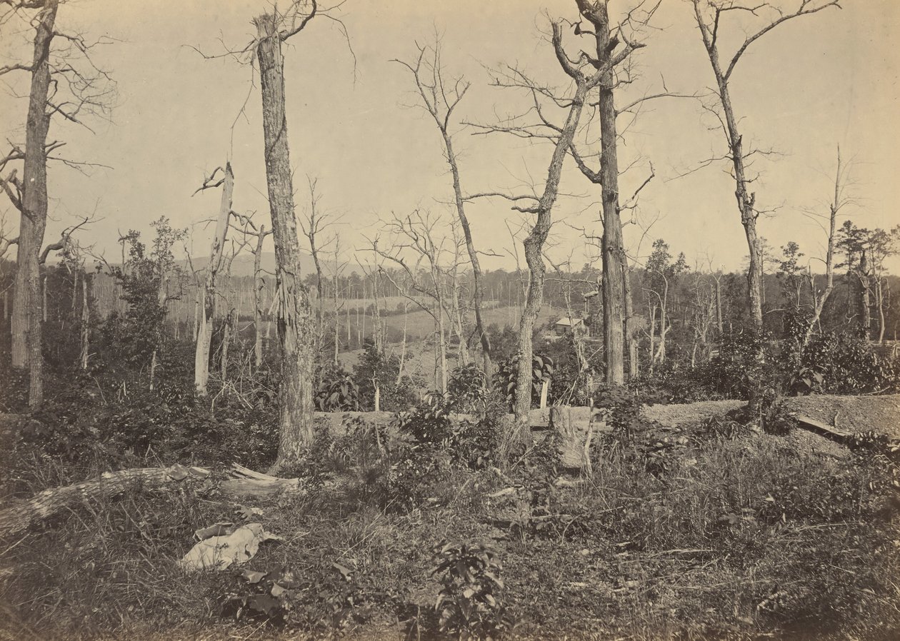 Slagmarken ved Resaca, Georgia, nr. 3,1864 (foto) af George N. Barnard