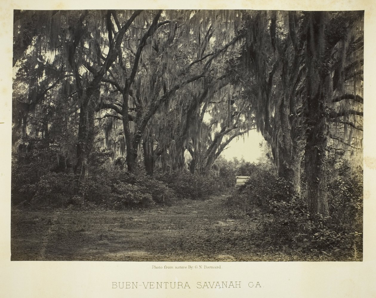 Buen-Ventura Savannah, Ga. af George N. Barnard