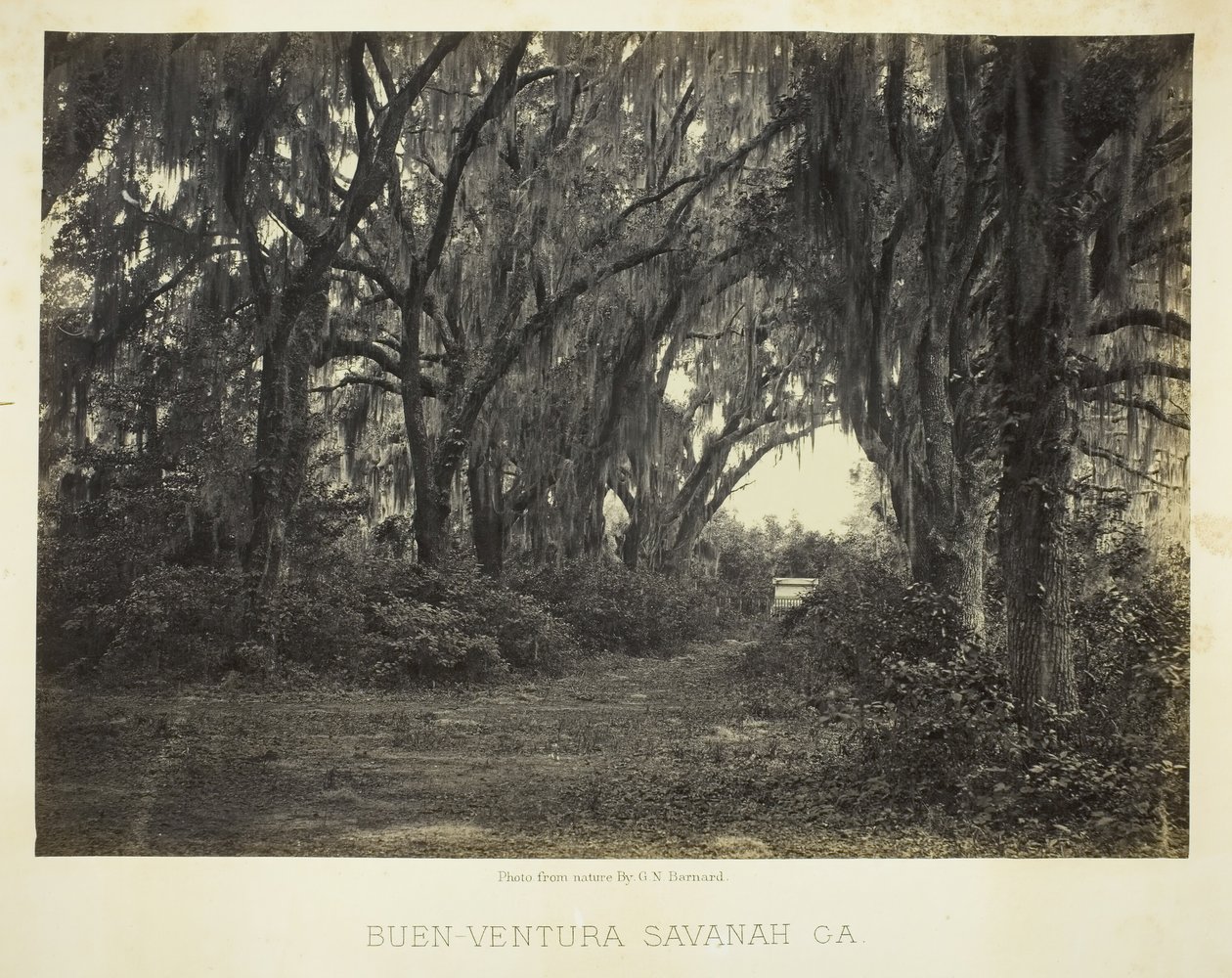 Buen-Ventura Savannah, Ga., 1866. af George N. Barnard