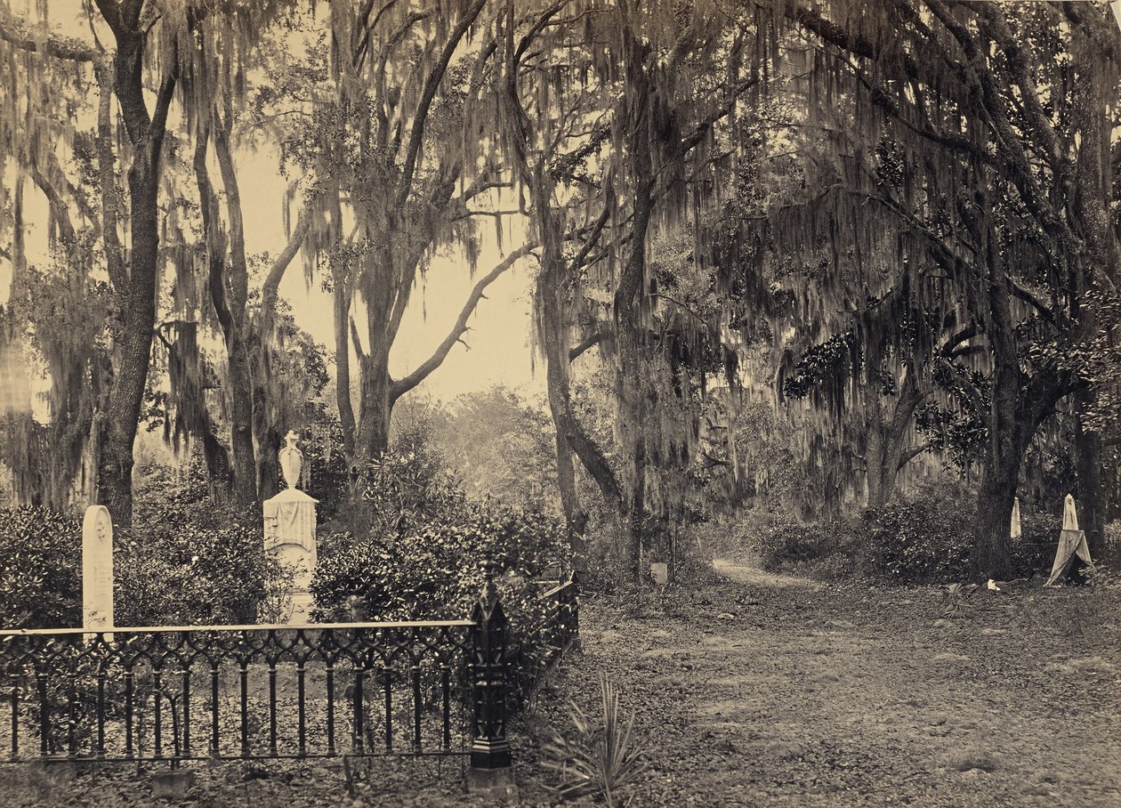 [Buen-Ventura, Savannah, Georgia] af George N. Barnard