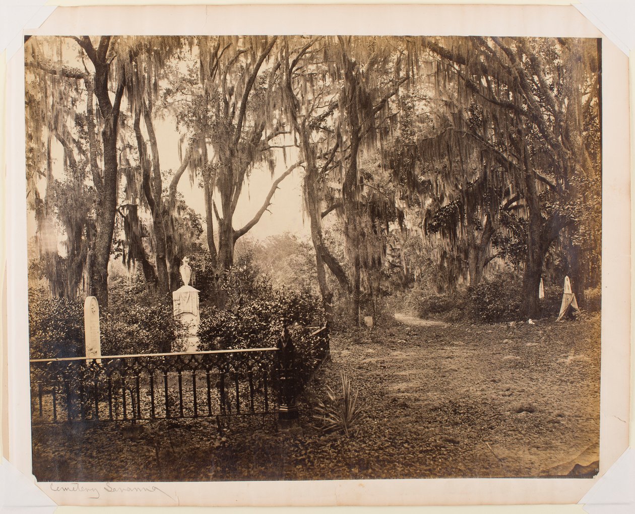 Buen-Ventura, Savannah, Georgia af George N. Barnard