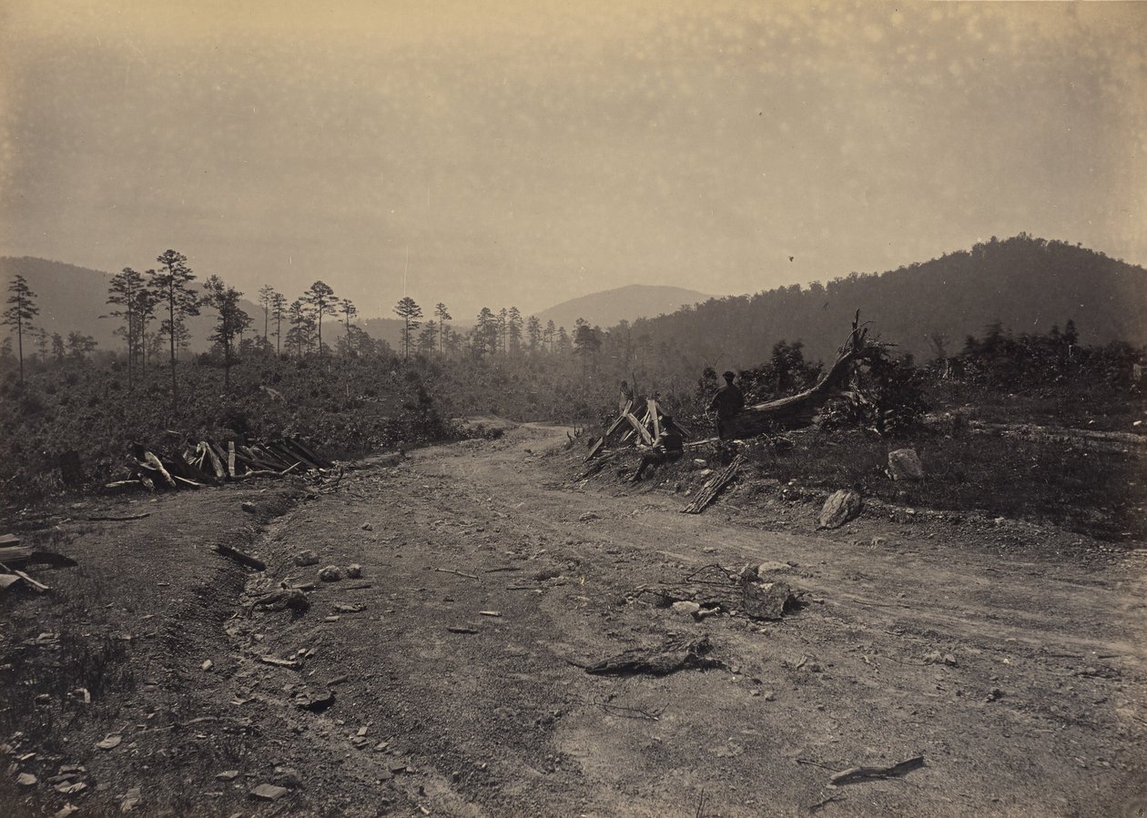 Buzzard Roost, Georgia af George N. Barnard